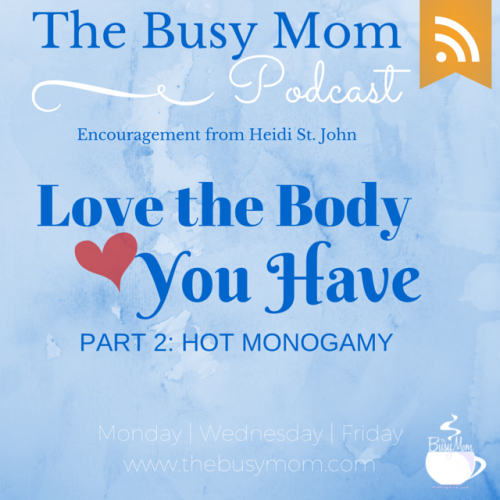 The culture has lied to us about what our bodies should look like. After having seven babies, my body bears the scars of bringing new life into this world. My stretch marks remind me of a life well lived. I'm talking about body image today. Join me!