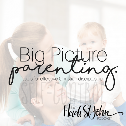 bigpictureparenting_self-control