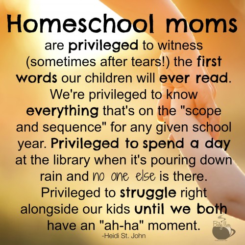 The Privilege of Homeschooling