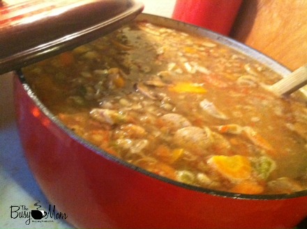 Sprouted Lentil Soup with Heidi Logo