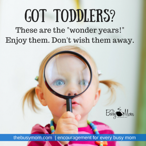 Toddler taming. Sometimes it can be frustrating — but these precious years go by fast. Today, listen in as Heidi St. John and Durenda Wilson talk offer some advice and encouragement for moms in the middle of the season of toddlerhood. 