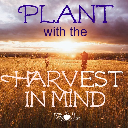The Bible says in Luke 6:40 that when a student is fully trained, he will be like his teacher. What are you sowing in the lives of your children? Join Heidi St. John and Durenda Wilson for a encouraging word about planting ... with the harvest in mind.