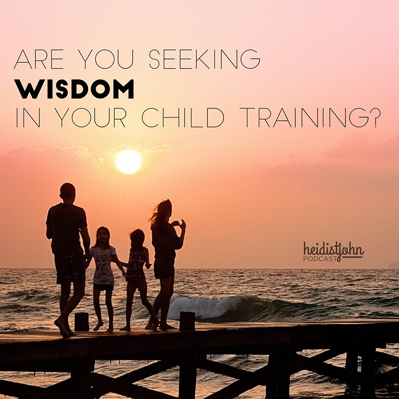 seeking-wisdom-child-training