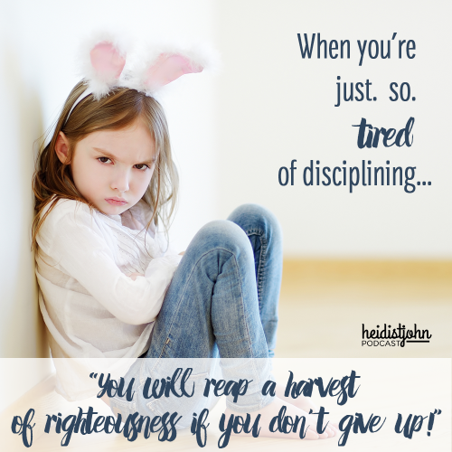 when-youre-tired-of-disciplining