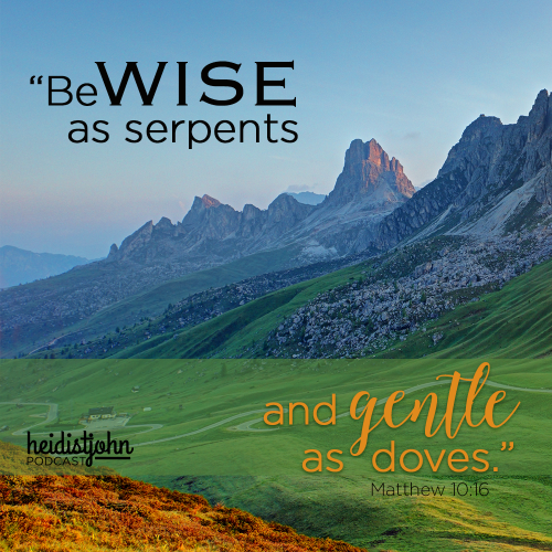 wise-and-gentle