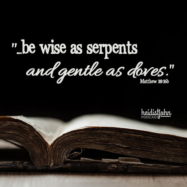 Be wise and gentle when persecuted