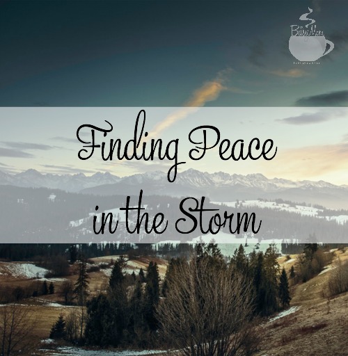 Finding Peace in the Storm | Heidi St. John